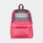 JanSport SuperBreak Plus Backpack Review The Smart Student Backpack Trusted Across the USA